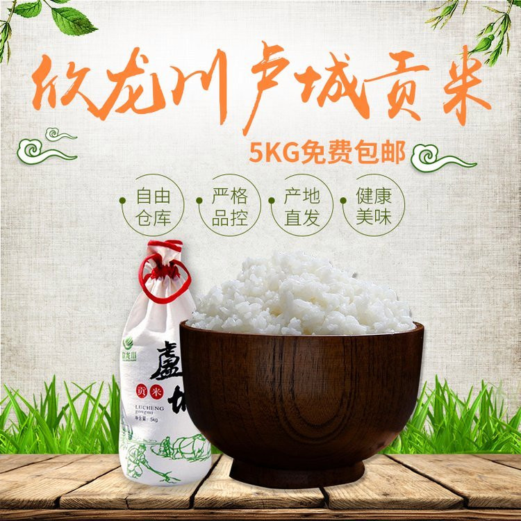卢城贡米图1